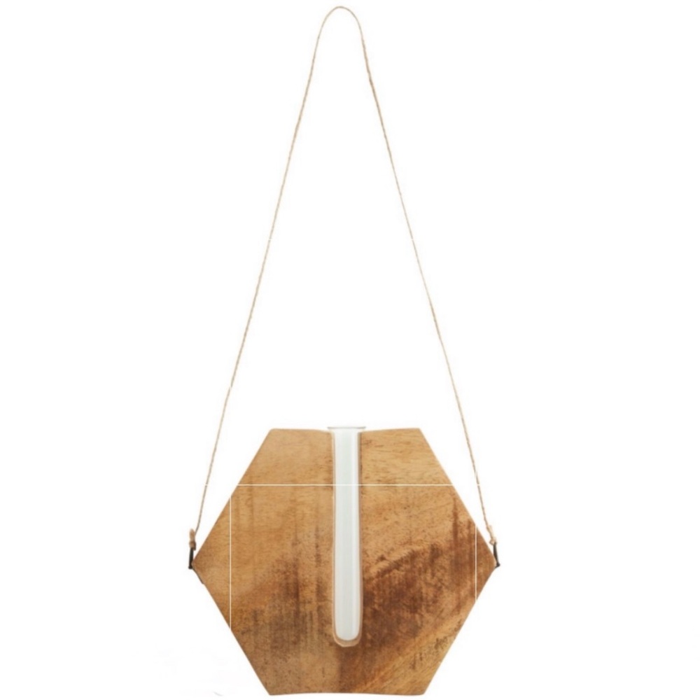 Anthropologie Wall Plant Propagation Tube Vase - Hexagon